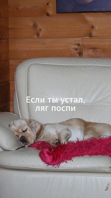 Если ты устал