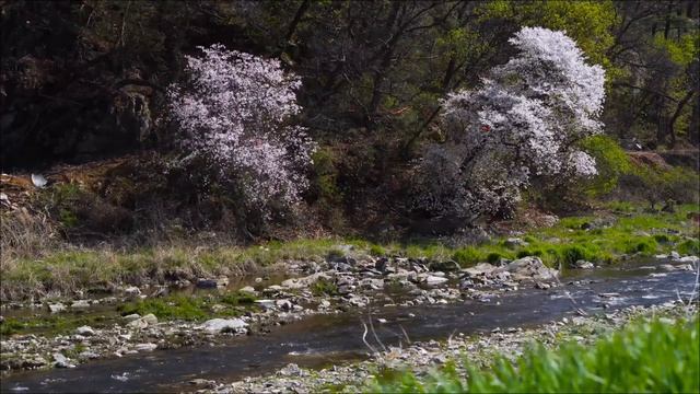 Никогда не делайте это 14 апреля. Так вы отдаёте свое счастье.