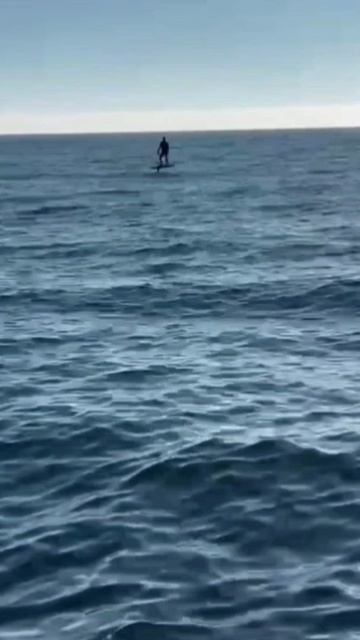 InShot_20260412_201525070 МОРЕ