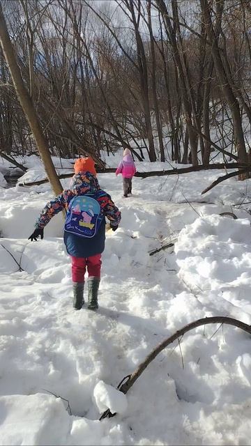 2f33374d93f364a0bebb93c80d98d160