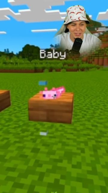 МАЙНКРАФТ — превращаю мобов в МИЛЫХ малышей 🥹