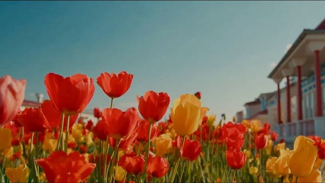 Анатолий Бабушкин Светлое Воскресенье