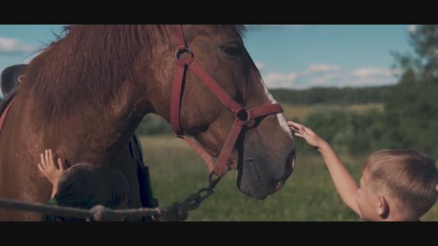 Рядом с Окской Ривьерой