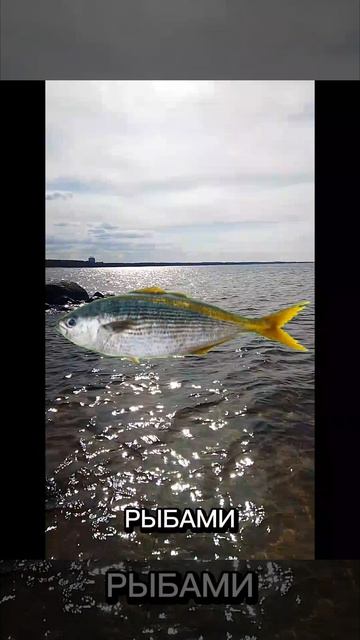 80035f9221d81fdda6cffc03ac7cd9ce