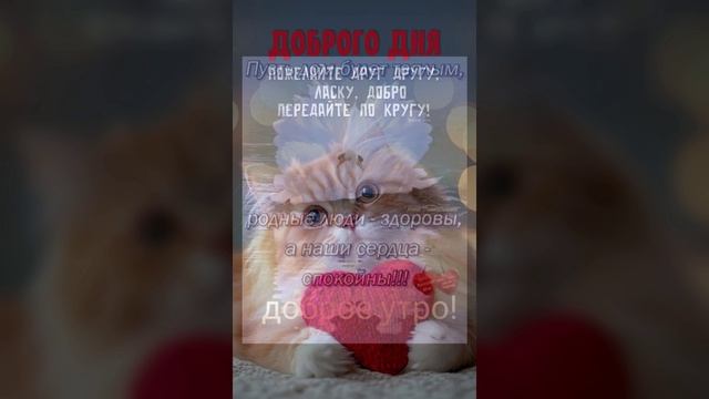 Доброе утро! (2)