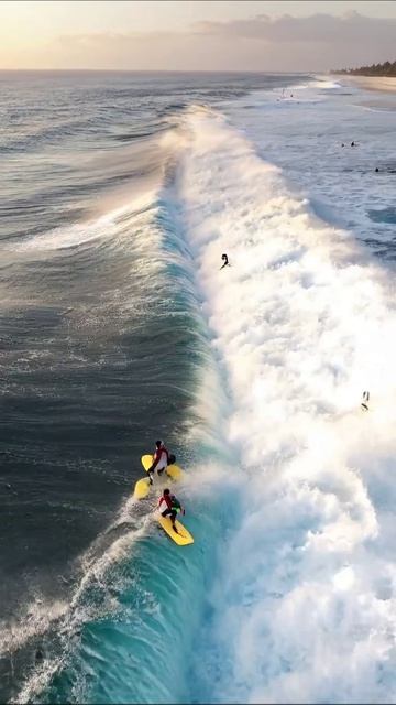 Сёрфинг на волнах: наслаждение и адреналин #сёрфинг #вода #приключения