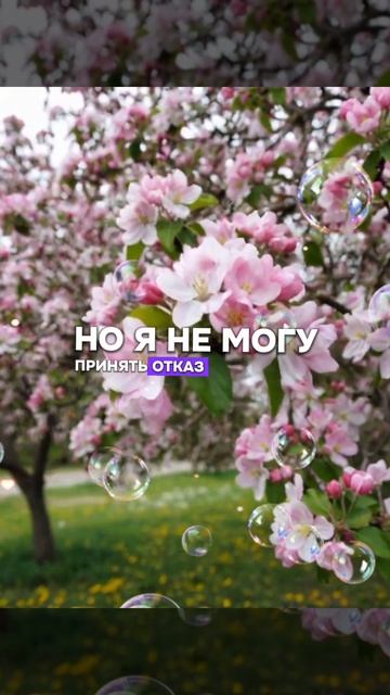 цитаты из жизни