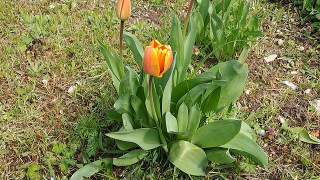 С ПРАЗДНИКОМ !!!