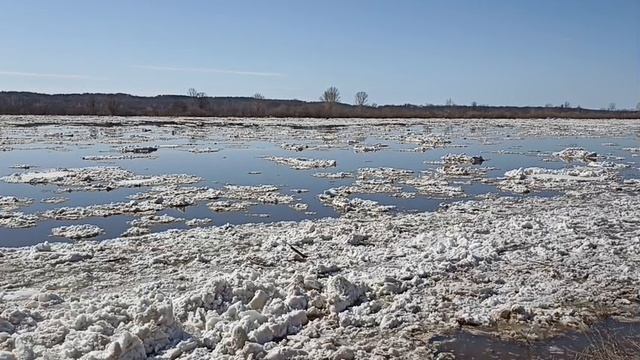 Видео 5. Ледоход на реке Вятке. 05.04.2026 года. (Окончание.)