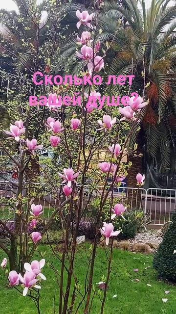 астропрогноз