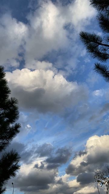 БУДНИ ТВОРЧЕСКОЙ ФЕИ | МАРТ ‘26