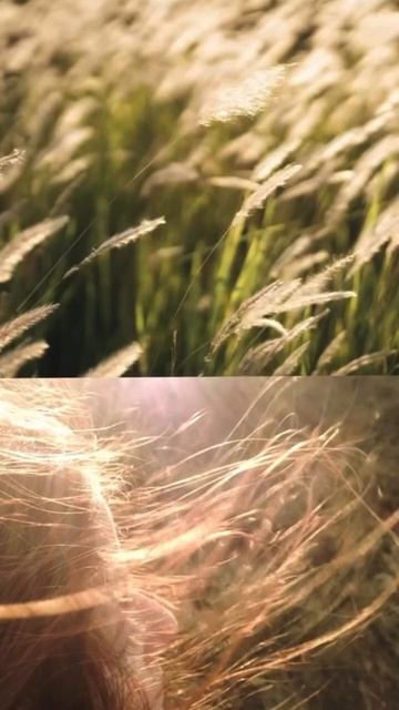 «И сотворил Бог человека по образу и подобию своему»