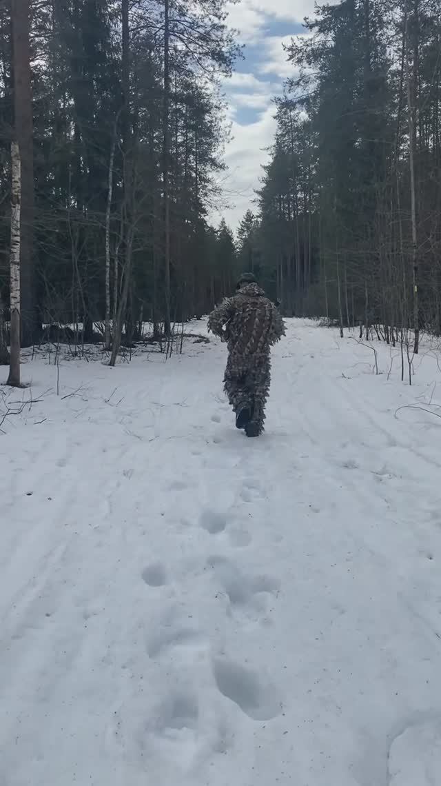 Лесная суета с костром