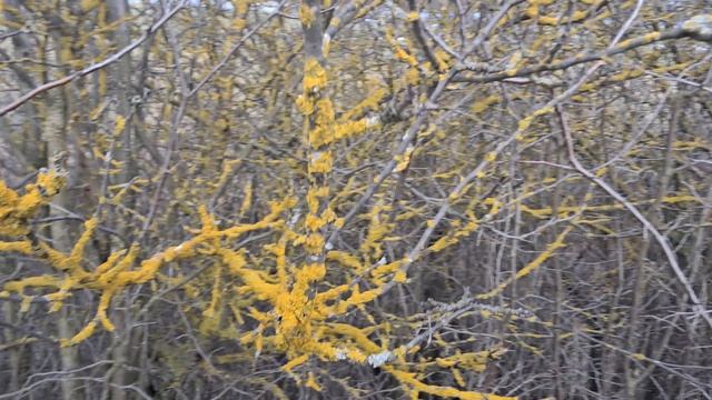 🖋️🚀 РАБОТЫ НЕПОЧАТЫЙ КРАЙ,ТОЛЬКО УСПЕВАЙ💃🔥 МОИ БУДНИ 🚀🖋️