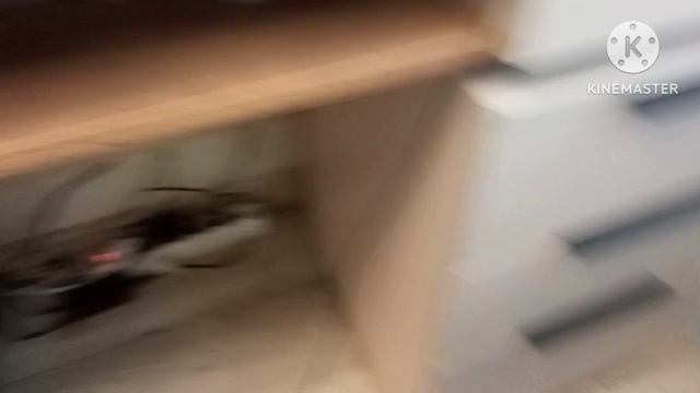 Мультсериал Приключения ТНТ Большой Секрет Серия Пластилин Гамма Юный Художник 45 Цветов 2026