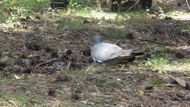 35e87c60c2c13fe9aedf11035d957dd8