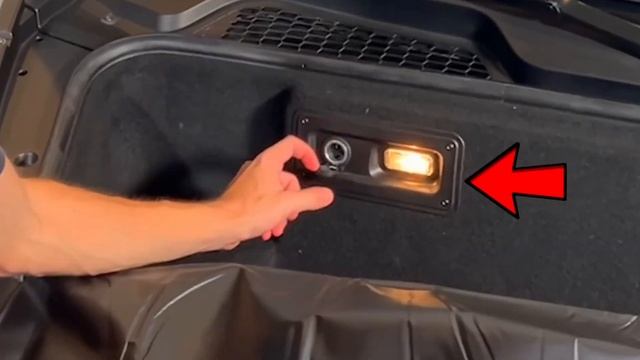 Нашел Lamborghini с живыми животными внутри