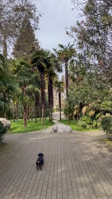 В парке Ривьера