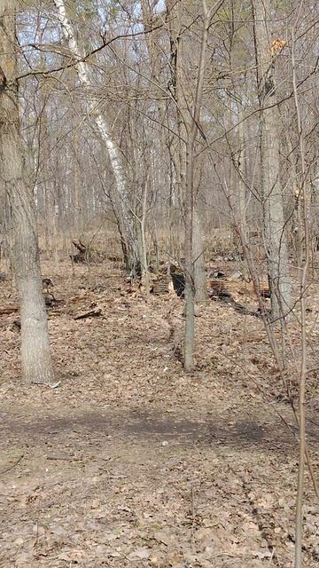 белочка проснулась