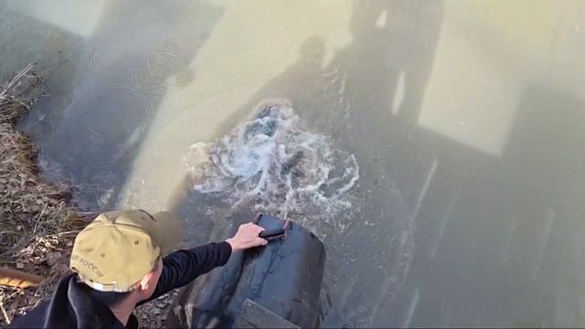 доп запуск 12 апреля