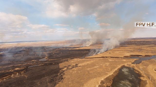 Горит Уссурийский остров. 04.2026.