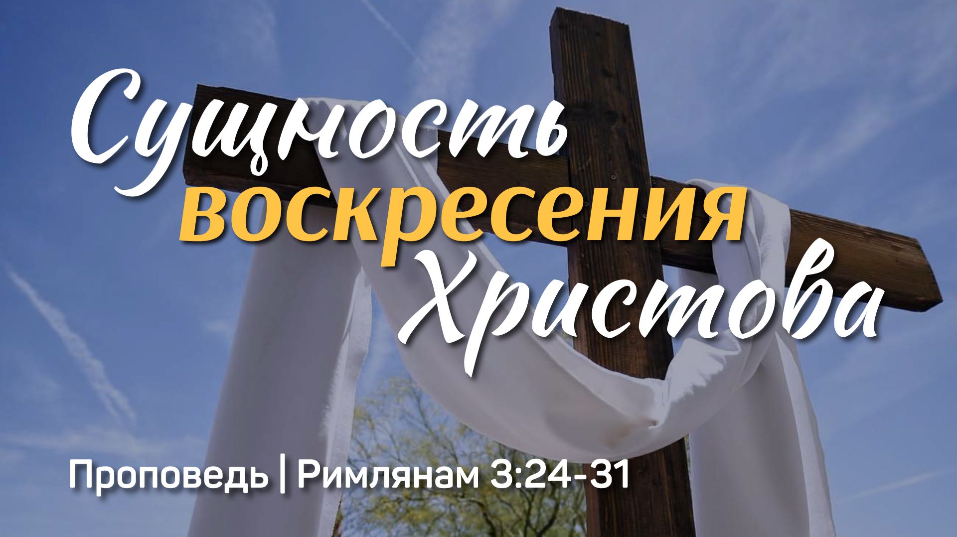 9d5a427c65ff72e062597398b34d20fc