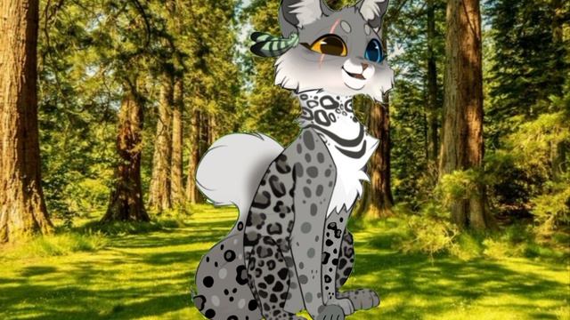 Сходка в вайлде!