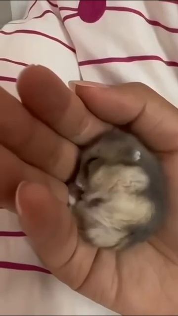 C9ec9f165290bcf32d027959b8e2bddd