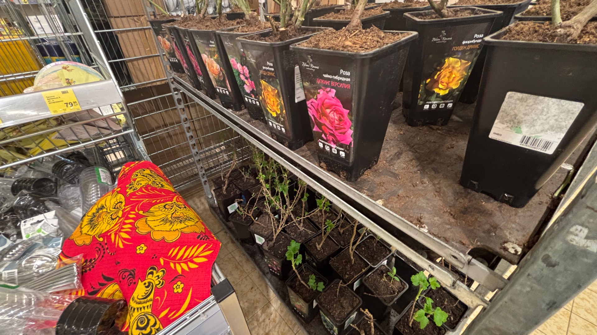 3875248da56ee2a0b06e7f2bdb77a151