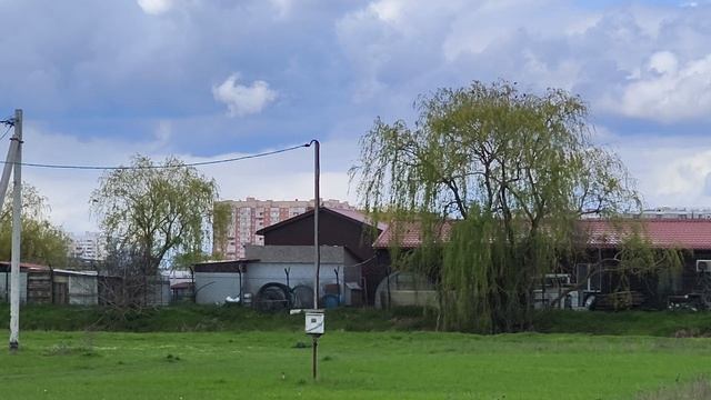 1000220665.mp4