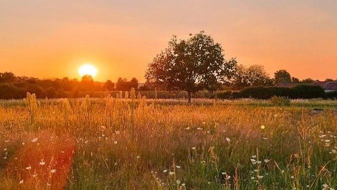 с пасхой 🙌🏻💋