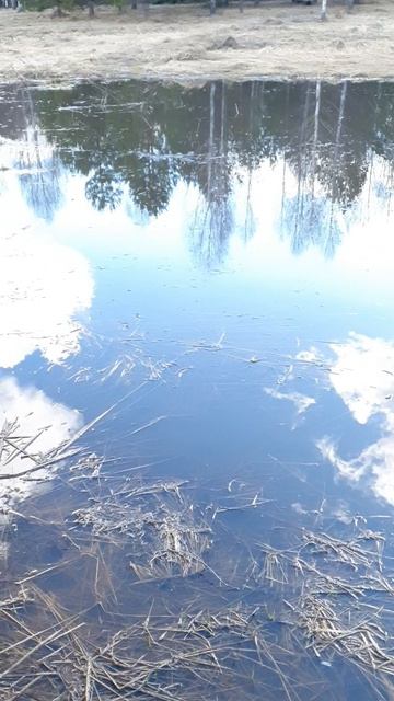 764a23d7ccabee3851be97efd49411f3