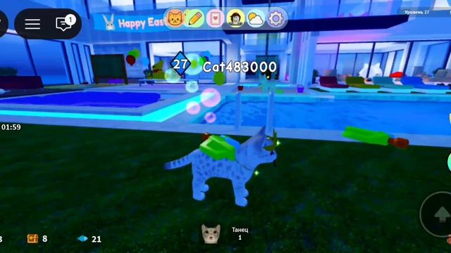 Новый скин кошки