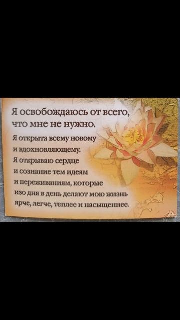 Девиз Светлого дня!☀️🍀✨12.04.2026.Выбирайте свой вариант умных фраз! #мысли #слова #чувства #душа