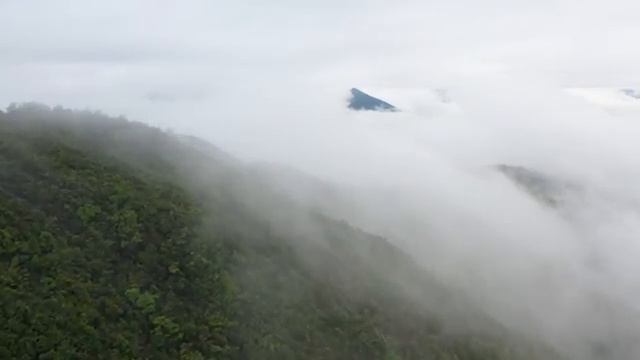 Перед воплощением каждый заключил контракт Игры.