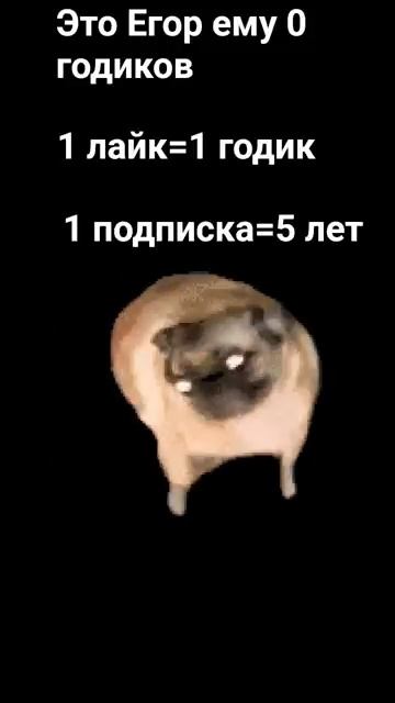 12 апреля 2026 год