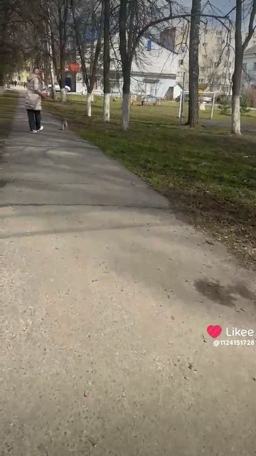 Перезалил с Lakee