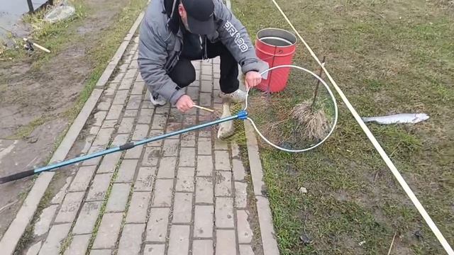 VID_20260412_134126_743