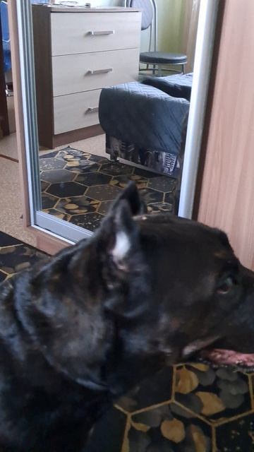 С Пасхой!/Варвара любопытная💋❤️