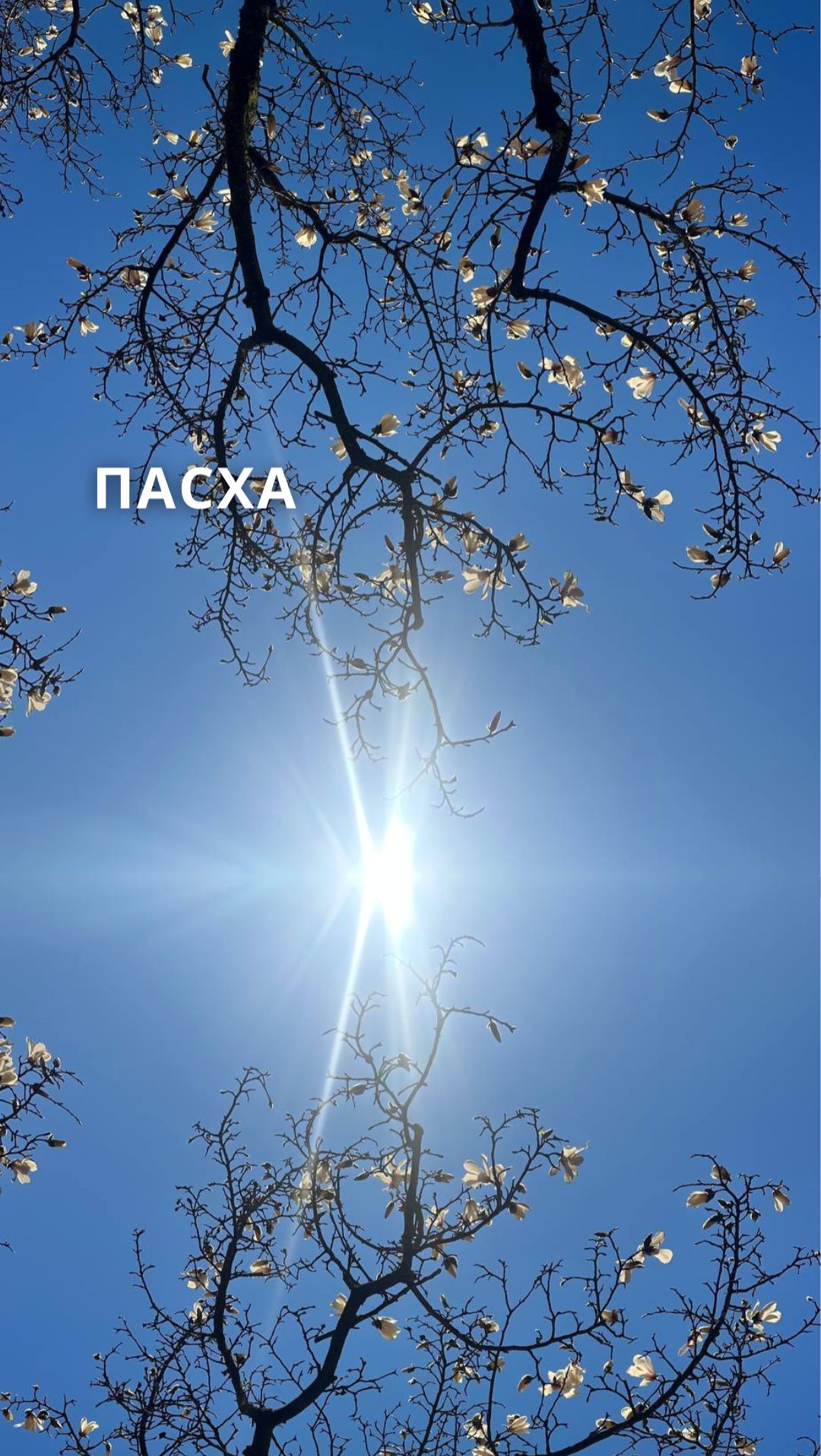 ПАСХА