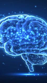 Упр, из цифр для мозга