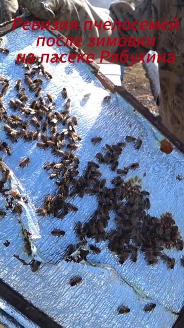 7213c44c3268250215c0a61d15284c84