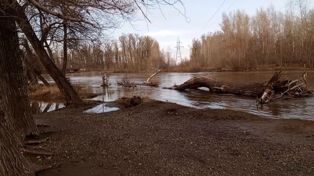 Ездили сегодня на речку