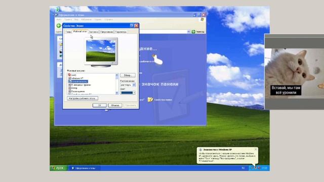 разликаемся на вирте мурзика