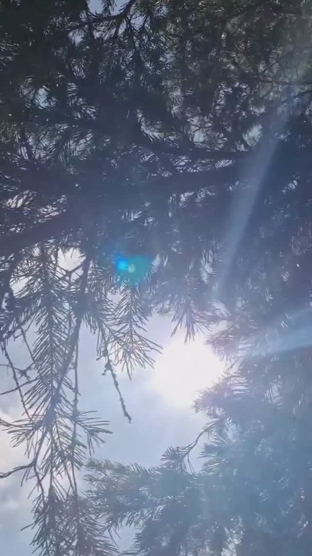 Смотри на мир глазами безупречности #Алтай #Белокуриха