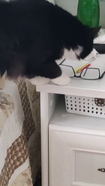 Помогу чем смогу 🥰