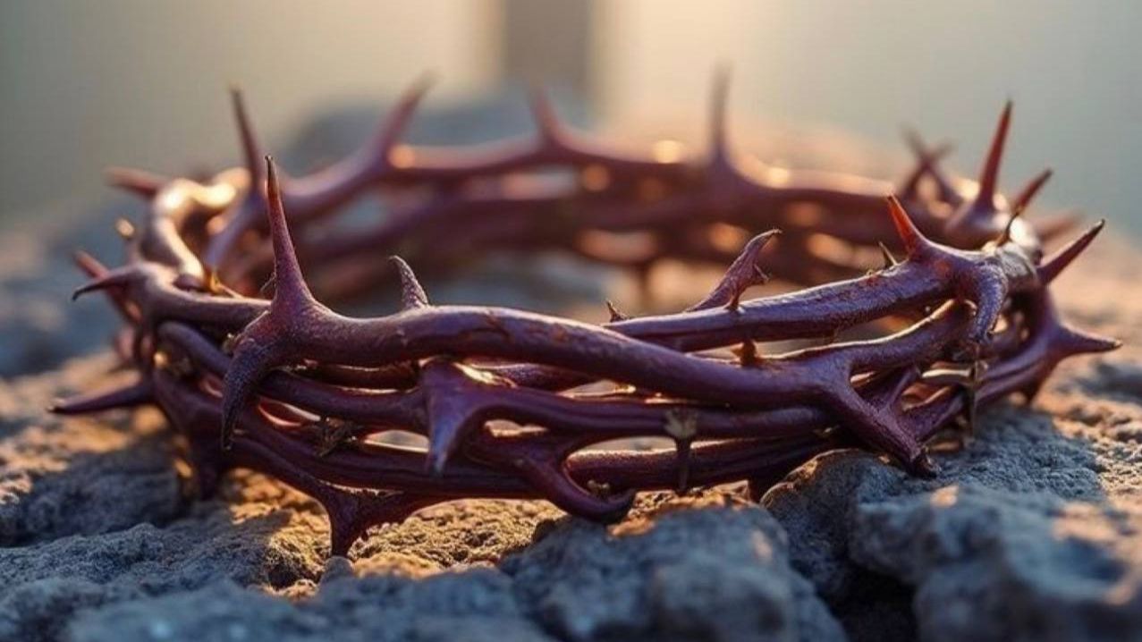 559decca8ac29c2ca5755346b12dbfbb