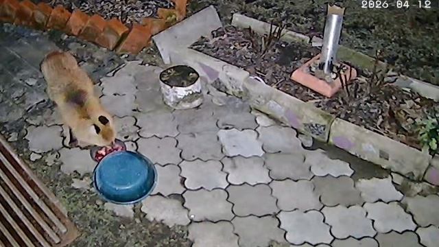 Ночное самообслуживание