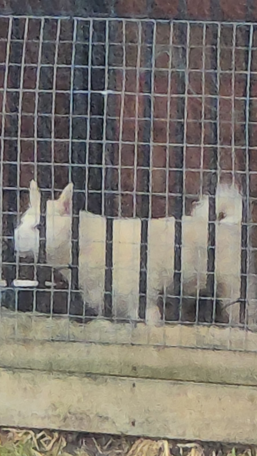 Закрыл всех