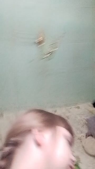 коникур аритикив